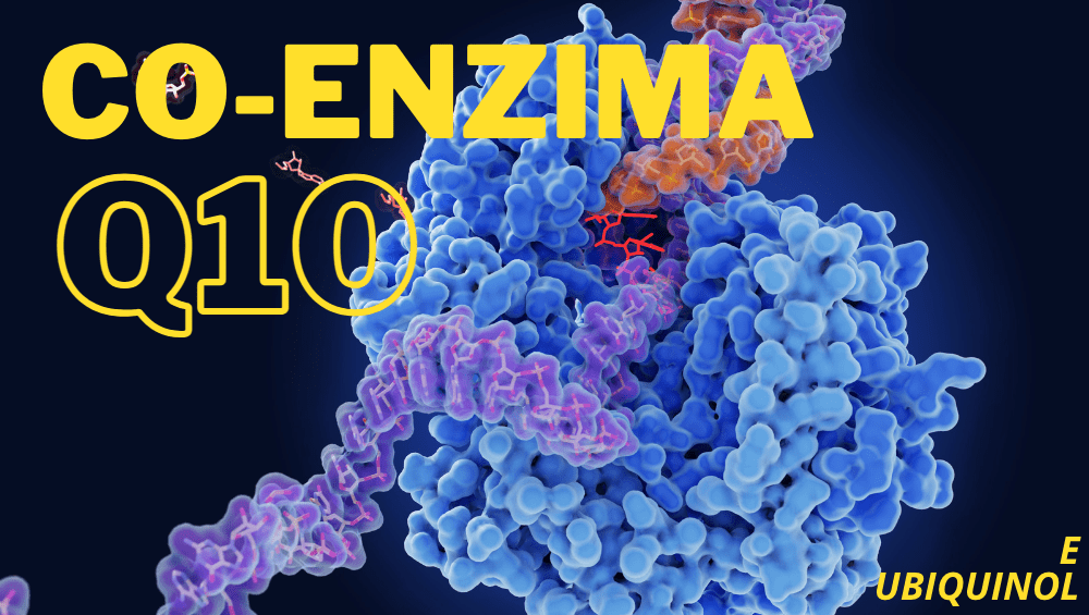Co-Enzima Q10 e Ubiquinol