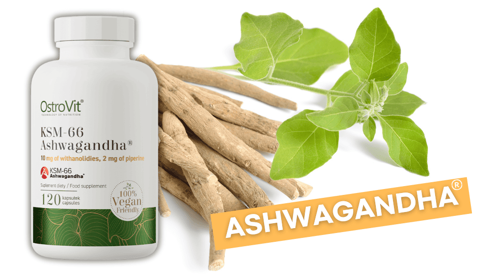 Promoção 2x1: Ashwagandha KSM-66 da OstroVit