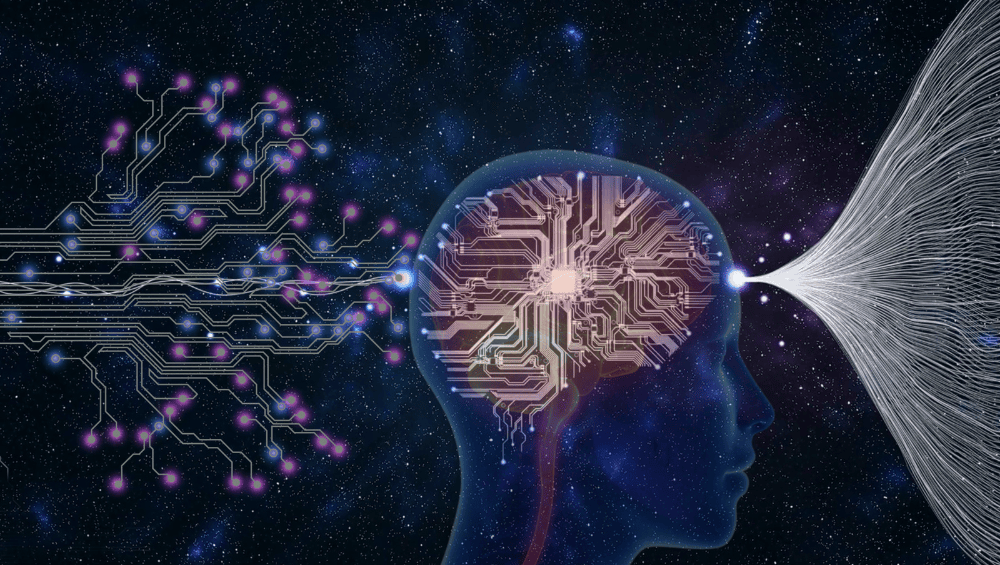 Neuro-Nutrição: Os Suplementos Que Realmente Ajudam o Teu Cérebro