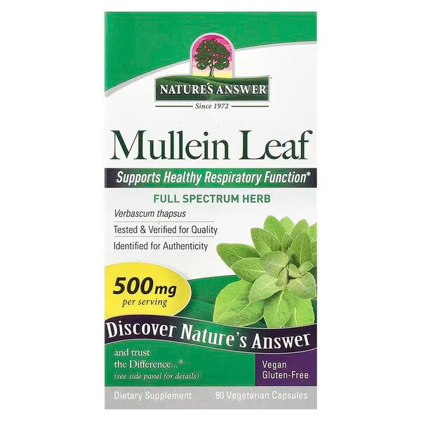 Mullein Leaf
