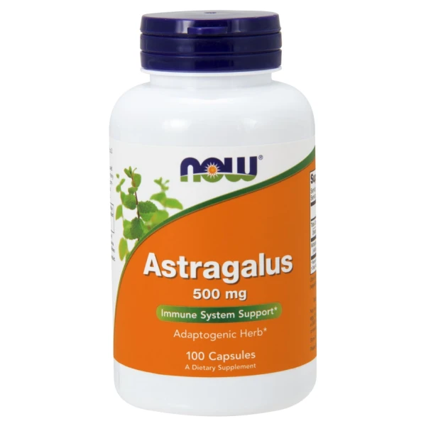 Astragalus, 500mg - 100 caps