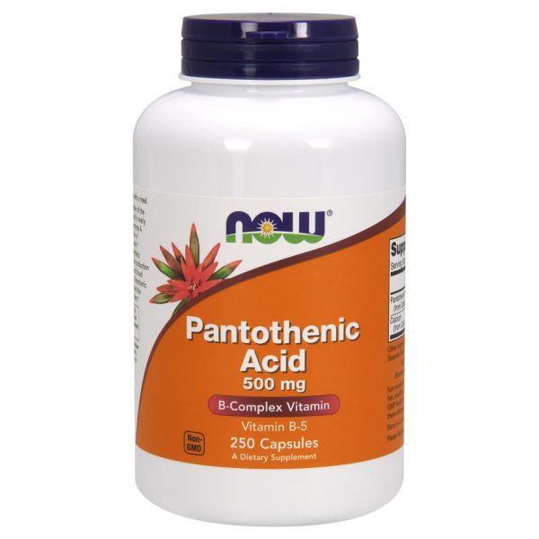 Pantothenic Acid, 500mg - 250 caps