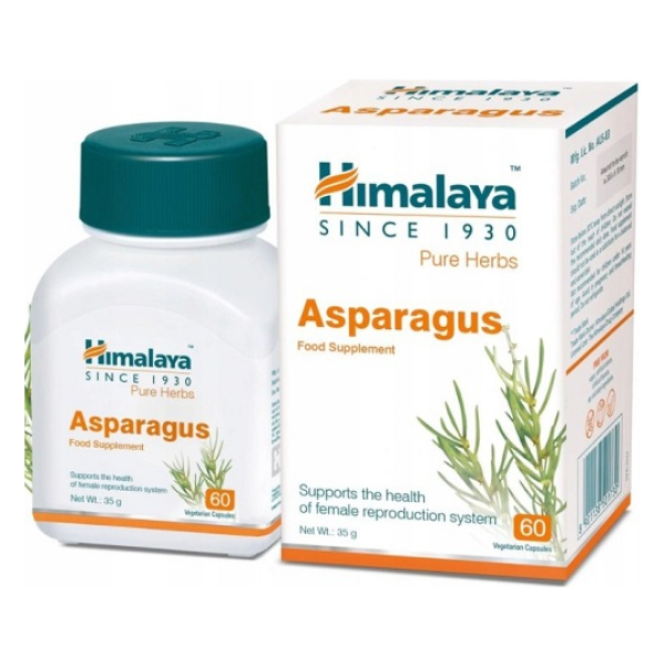 Asparagus (Shatavari) - 60 caps