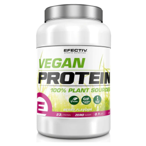 Vegan Protein, Berry - 908g