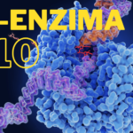 Co-Enzima Q10