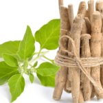 Benefícios do Ashwagandha