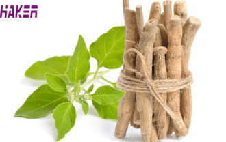 Benefícios do Ashwagandha