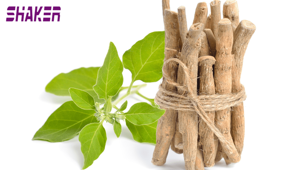 Benefícios do Ashwagandha