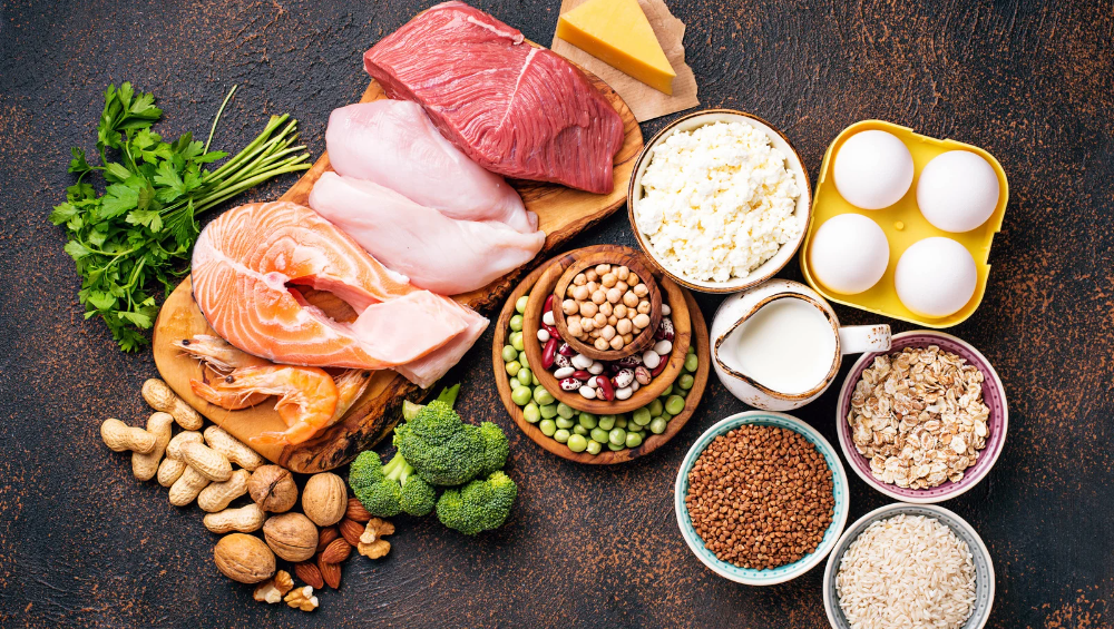 Proteínas Animais e Proteínas Vegetais