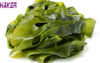 Kelp Superalimento Marinho