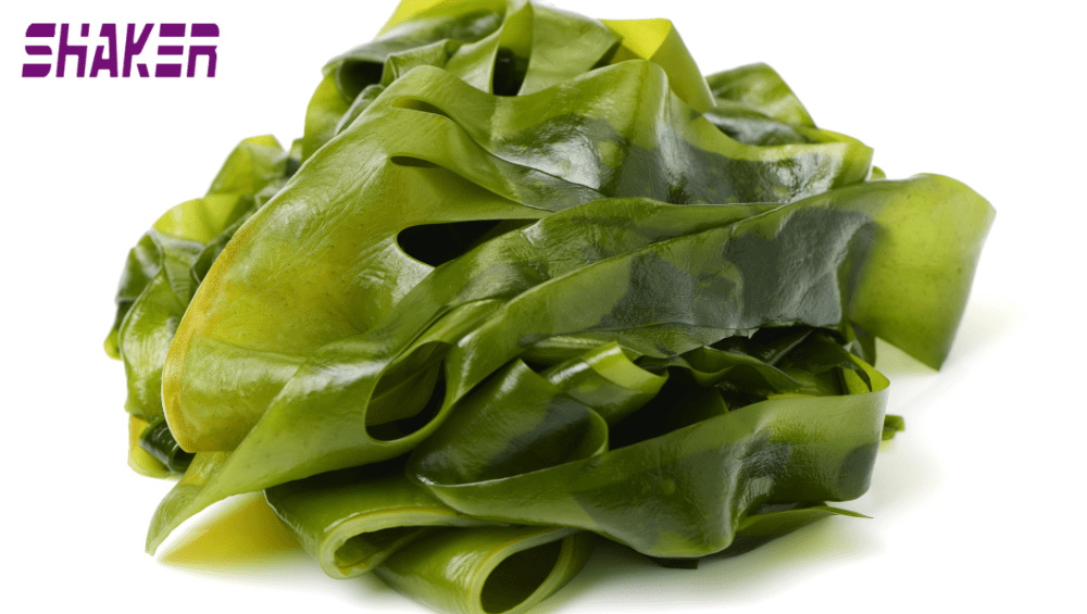 Kelp Superalimento Marinho