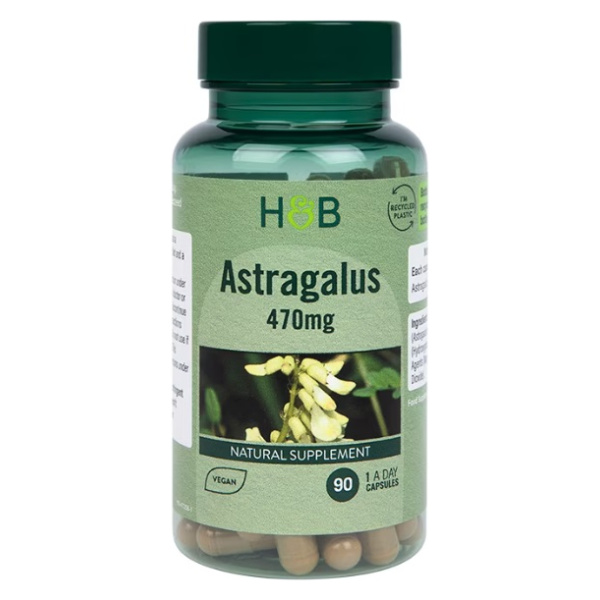 Astragalus, 470mg - 90 caps
