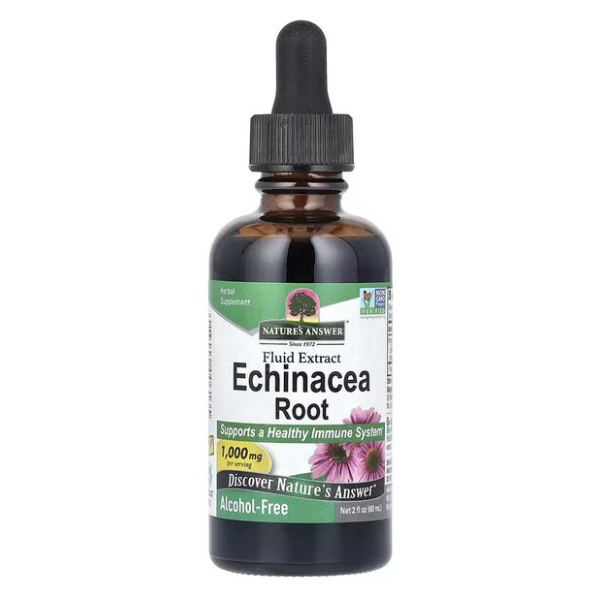 Echinacea Root, 1000mg - 60 ml.