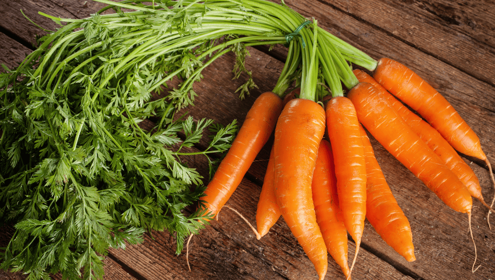 Alimentos para uma Pele Radiante