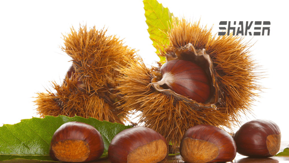 Castanhas São Martinho