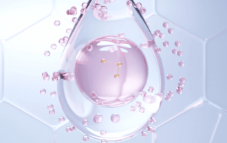 Colagénio Marinho vs Bovino