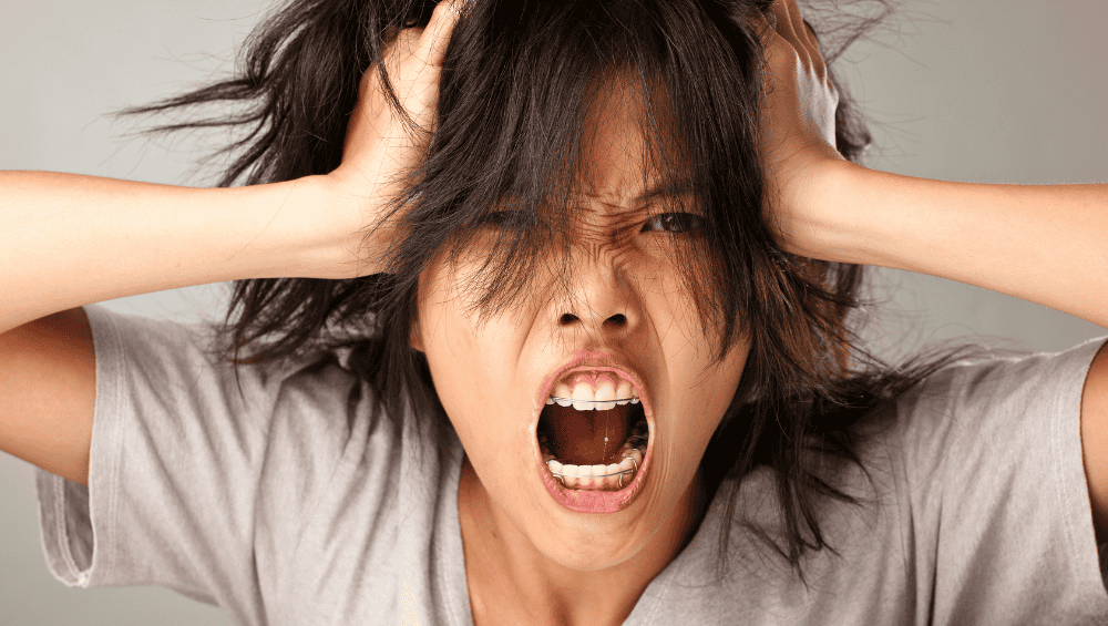 O Poder dos Adaptogénicos