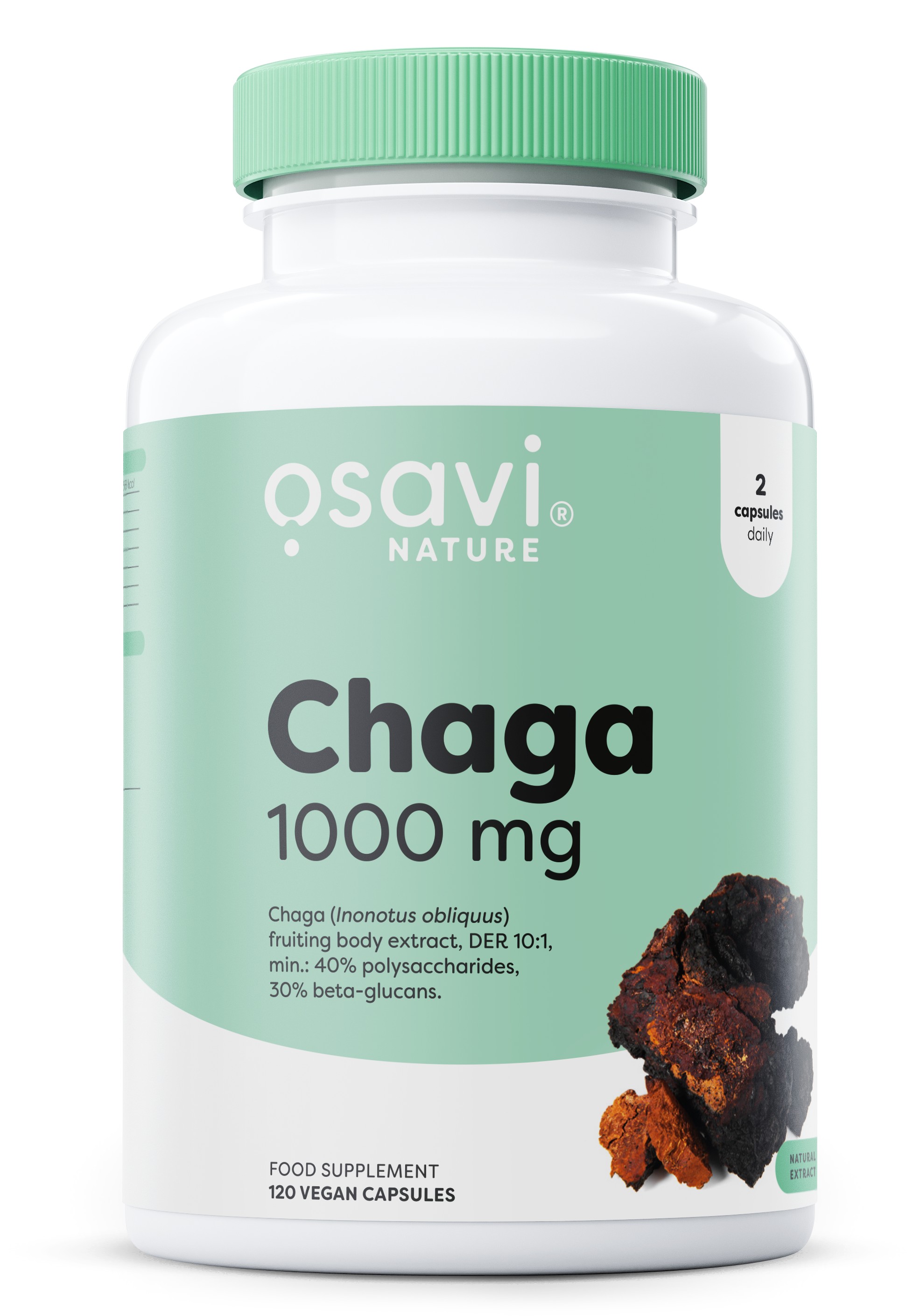 Chaga, 1000mg - 120 vegan caps
