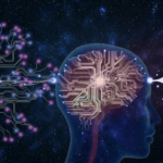 Neuro-Nutrição: Suplementos Cérebro