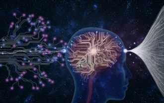 Neuro-Nutrição: Suplementos Cérebro